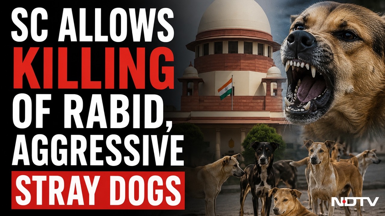 Supreme Court on Stray Dogs: &ldquo;Right to Life Includes Safety&rdquo;, Allows Action Against Dangerous Dogs