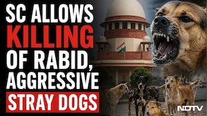 Supreme Court on Stray Dogs: &ldquo;Right to Life Includes Safety&rdquo;, Allows Action Against Dangerous Dogs