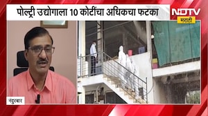 Nandurbar मधील नागपुरात बर्ड फ्लू चं थैमान, चोवीस लाख अंडी आणि 54 टन खाद्यपदार्थ नष्ट । NDTV मराठी