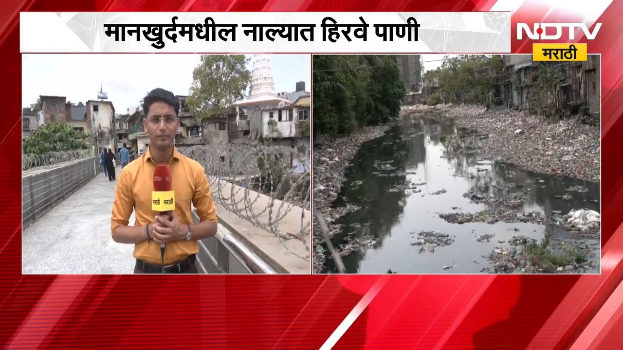 Mankhurd मधील नाल्यात हिरवे पाणी; नाल्याची सफाई करण्याची नागरिकांची मागणी; याचस्थितीचा घेतलेला आढावा