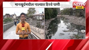 Mankhurd मधील नाल्यात हिरवे पाणी; नाल्याची सफाई करण्याची नागरिकांची मागणी; याचस्थितीचा घेतलेला आढावा