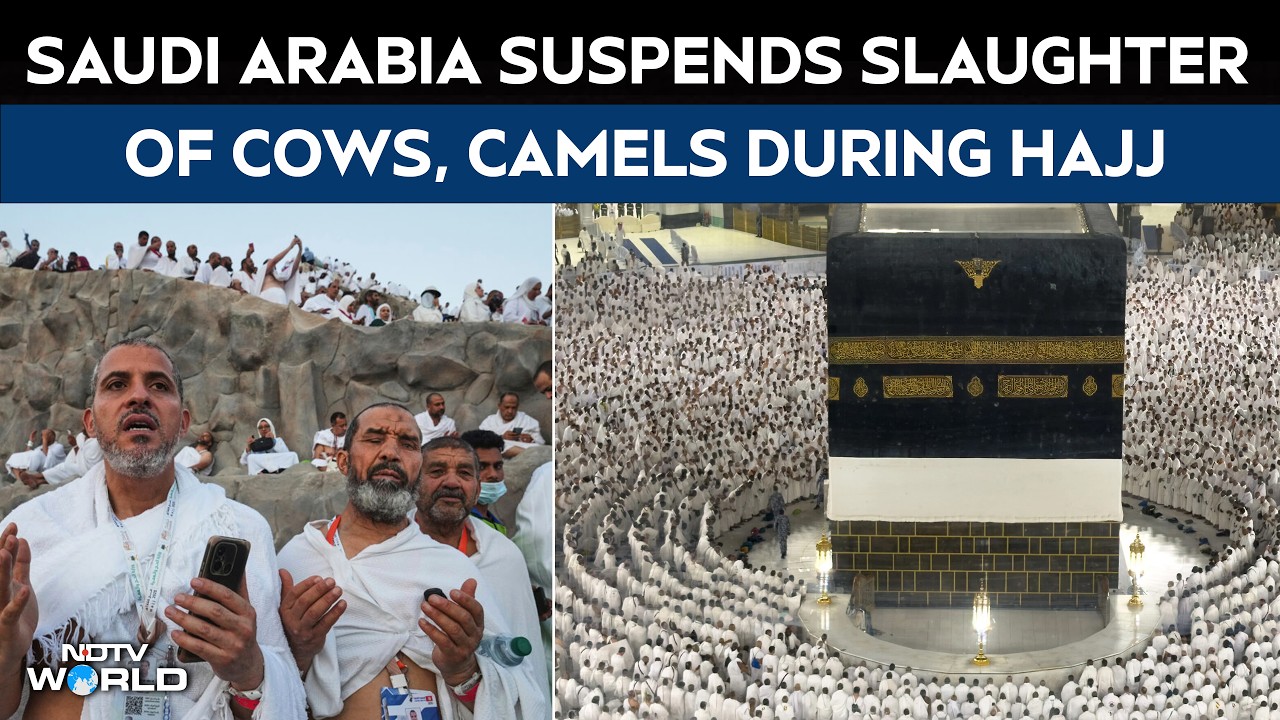 Hajj Rules In Saudi | Saudi Arabia Suspends Slaughter Of Cows, Camels During Hajj