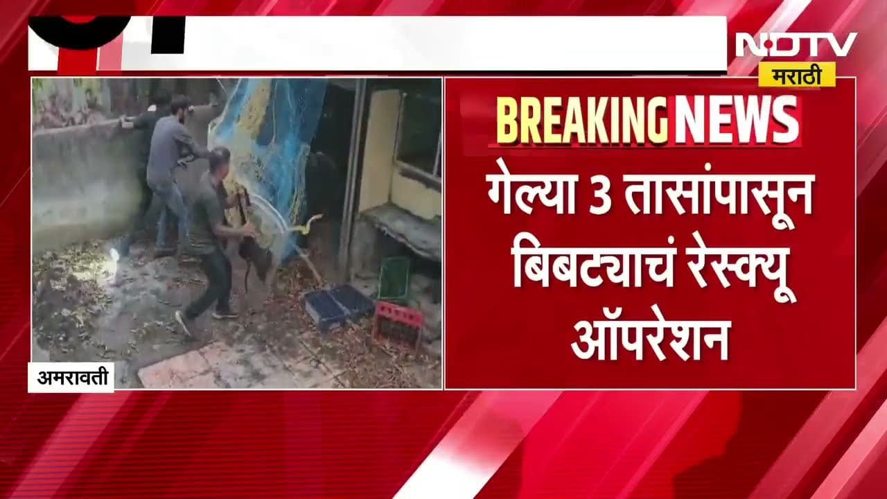 Amravati Leopard |अमरावतीत बिबट्याचा गुंगारा; दुकानात लपलेला बिबट्या दुसऱ्या बाजूने निघून गेला