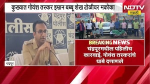 Chandrapur|चंद्रपुरात गोवंश तस्करांविरोधात पहिलीच मकोकाची कारवाई, गोवंश तस्करांचे धाबे दणाणले