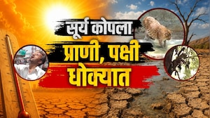 Special Report| विदर्भात सूर्य अक्षरशः आग ओकतोय; नागपुरात 9 दिवसात उष्माघाताचे 21 बळी? नागरिक त्रस्त