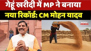 CM मोहन यादव का इंदौर दौरा: Wheat Procurement में MP ने बनाया नया रिकॉर्ड! |  Record