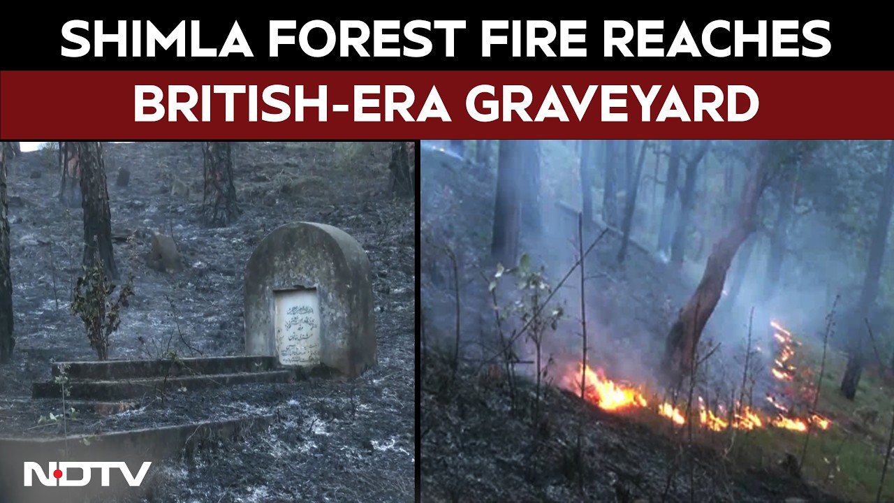 Himachal Pradesh News | Himachal Forest Fire Reaches British-Era Graveyard in Shimla