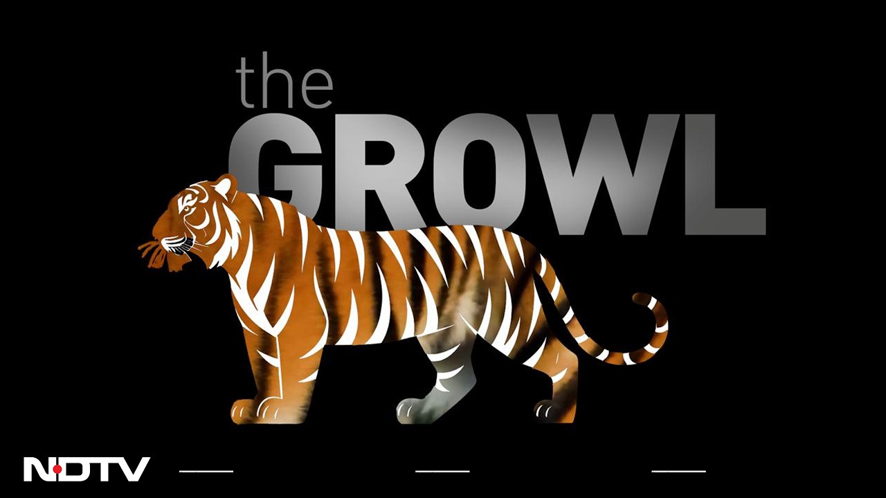 5 Decades Of Saving The Tiger | NDTV Focus
