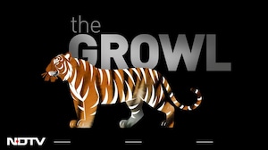 5 Decades Of Saving The Tiger | NDTV Focus