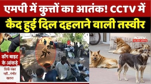 MP News: आवारा कुत्तों का हमला CCTV में कैद, दहशत में लोग, सुरक्षा पर उठे सवाल। Top News । Breaking
