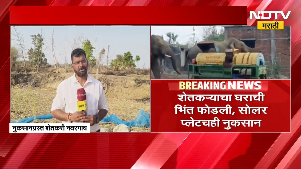Gadhchiroli च्या नवरगावात रानटी हत्तींचा धुमाकूळ | NDTV मराठी