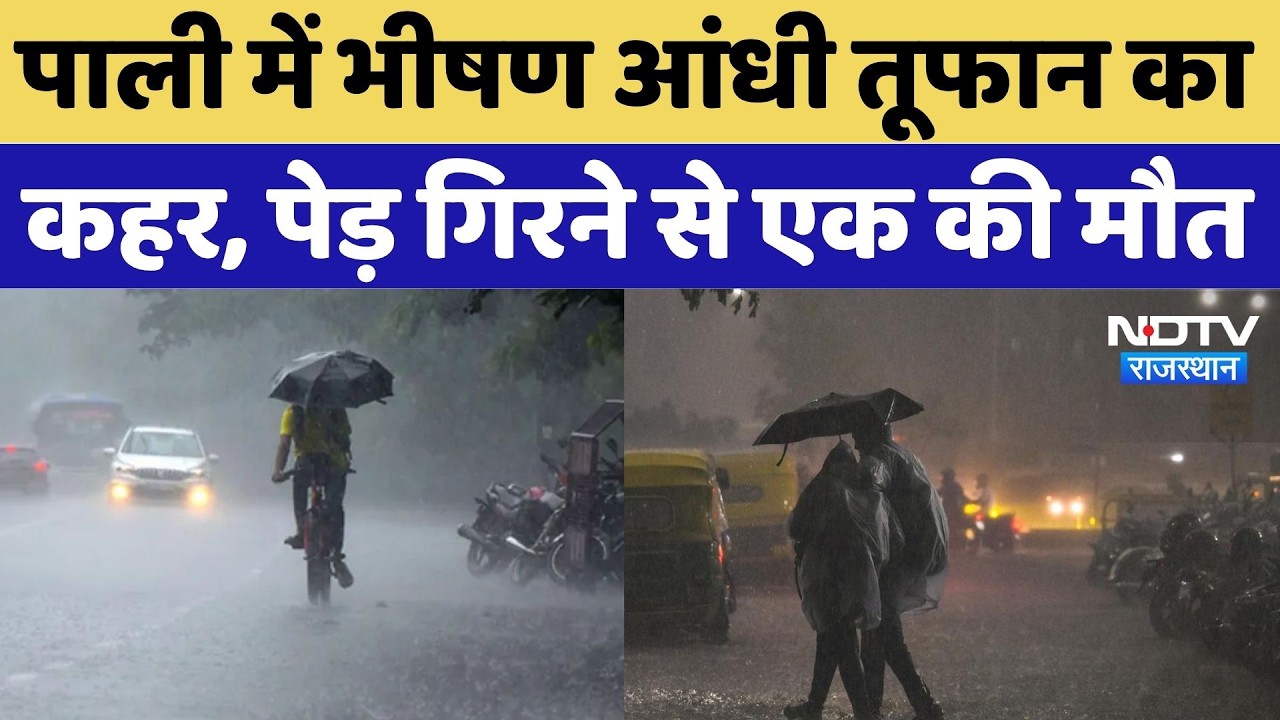 Heavy Rain Alert: पाली में भीषण आंधी तूफान का कहर, पेड़ गिरने से एक की मौत | Top News |Monsoon Alert
