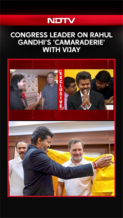Video: Congress Leader Praveen Chakravarty On Rahul Gandhi's 'Camaraderie' With Vijay