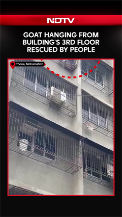 Goat Stuck & Hanging From The 3rd Floor Of A Building In Maharashtra's Thane Rescued By People