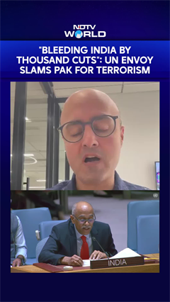 "Bleeding India By Thousand Cuts": UN Envoy Slams Pak For Terrorism