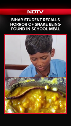 Bihar Student Recalls Horror Of Snake Being Found In School Mid-Day Meal