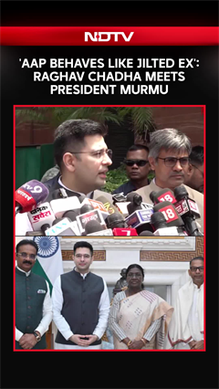 'AAP Is Driven By Revenge': Rajya Sabha MP Raghav Chadha Meets President Droupadi Murmu