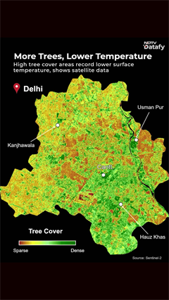 Delhi's Heatwave Divide: Why Greener Areas Stay Cooler