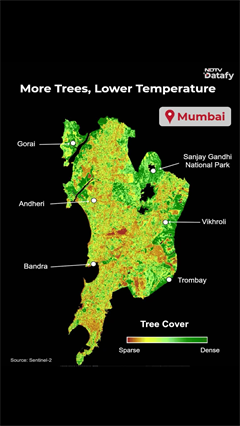 Mumbai's Green Shield: More Trees, Lower Temperatures