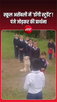 स्कूल असेंबली में 'डॉगी स्टूडेंट'! पंजे जोड़कर की प्रार्थना