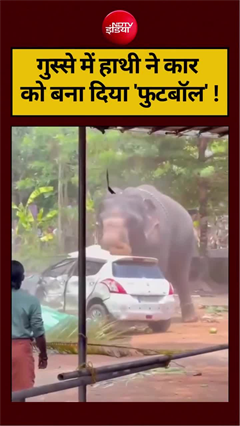 Angry Elephant: केरल में गुस्से में हाथी ने कार को बना दिया ‘फुटबॉल’ !