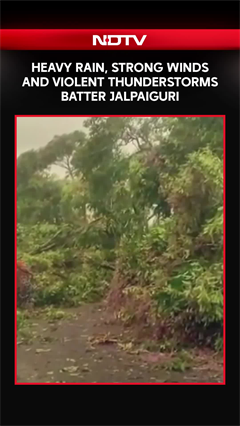North Bengal Storm | Heavy Rain, Strong Winds And Violent Thunderstorms Batter Jalpaiguri