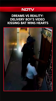 Viral Video Shows Delivery Boy Playing Shots & Kissing Cricket Bat After Dropping Off Order