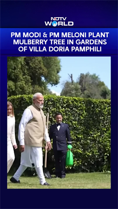 PM Modi & PM Meloni Plant A Mulberry Tree In The Gardens Of Villa Doria Pamphili In Rome