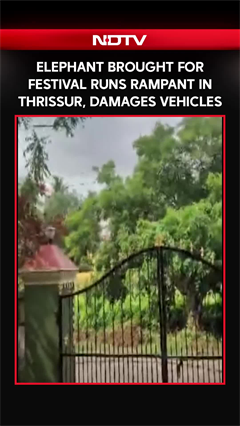Elephant Brought For Festival Runs Rampant In Thrissur, Damages Several Vehicles