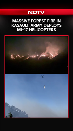 Massive Forest Fire Near Kasauli Air Force Station, Mi-17 Helicopters Deployed In Fire-Fighting Ops