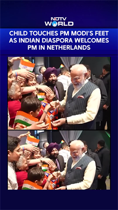 Child Touches PM Modi's Feet As Indian Diaspora Welcomes PM In Netherlands