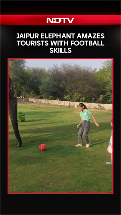 Elephant Wows Tourists With Football Skills In Jaipur&rsquo;s Elephant Village