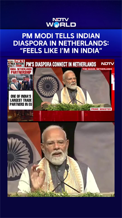 "Feels Like I'm In India": PM Modi To Indian Community In Netherlands