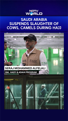 Saudi Arabia Suspends Slaughter Of Cows, Camels During Hajj