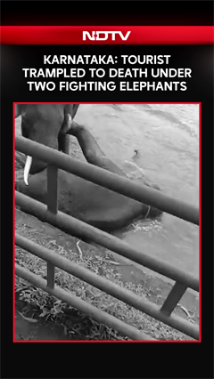 Karnataka News | Woman Trampled Under Two Fighting Elephants At Karnataka Wildlife Camp
