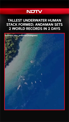Video: Tallest Underwater Human Stack Formed; Andaman Sets Two Guinness World Records In 2 Days