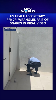 US Health Secretary RFK Jr Grabs Pair Of Snakes With Bare Hands In Florida As His Wife Cheers On