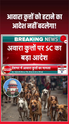 Video: Supreme Court stray dogs verdict: आवारा कुत्तों पर सुप्रीम कोर्ट सख्त