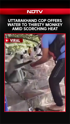 Uttarakhand Cop Offers Water To Thirsty Monkey Amid Scorching Heat