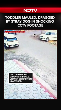 Stray Dog Attack In Vijayapura: Toddler Mauled and Dragged, Horrifying CCTV Footage Surfaces