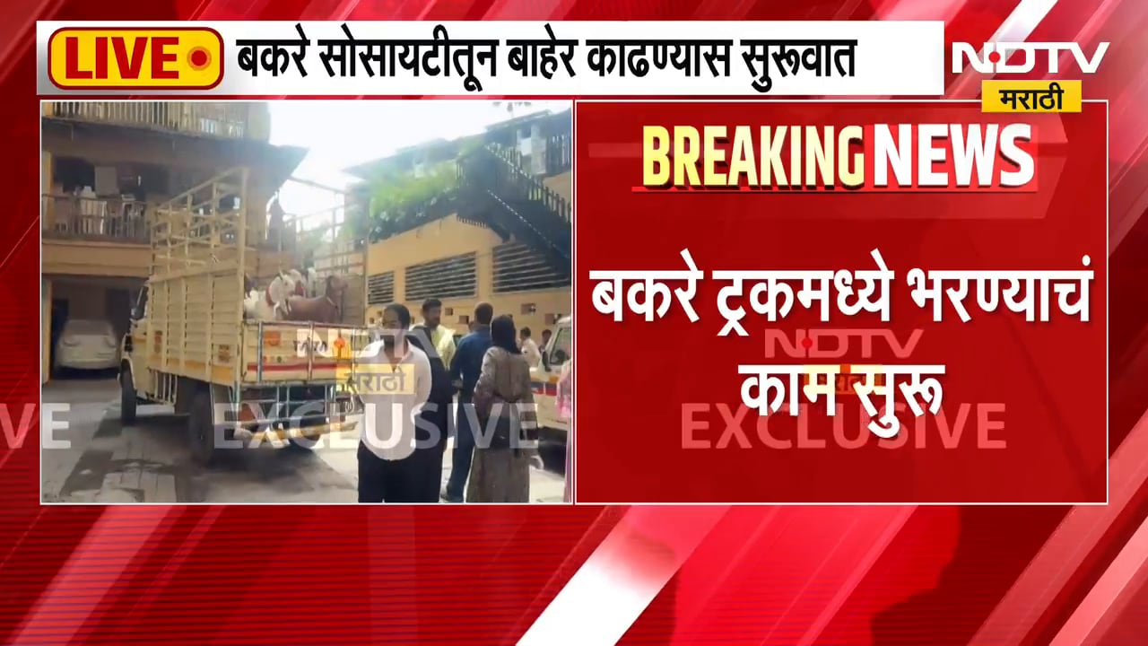 Mira Road| बकरी ईदआधी बकरा vs डुक्कर वाद; पोलीस बंदोबस्तात सोसायटीतून बकरे बाहेर काढण्यास सुरुवात
