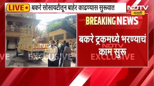 Mira Road| बकरी ईदआधी बकरा vs डुक्कर वाद; पोलीस बंदोबस्तात सोसायटीतून बकरे बाहेर काढण्यास सुरुवात