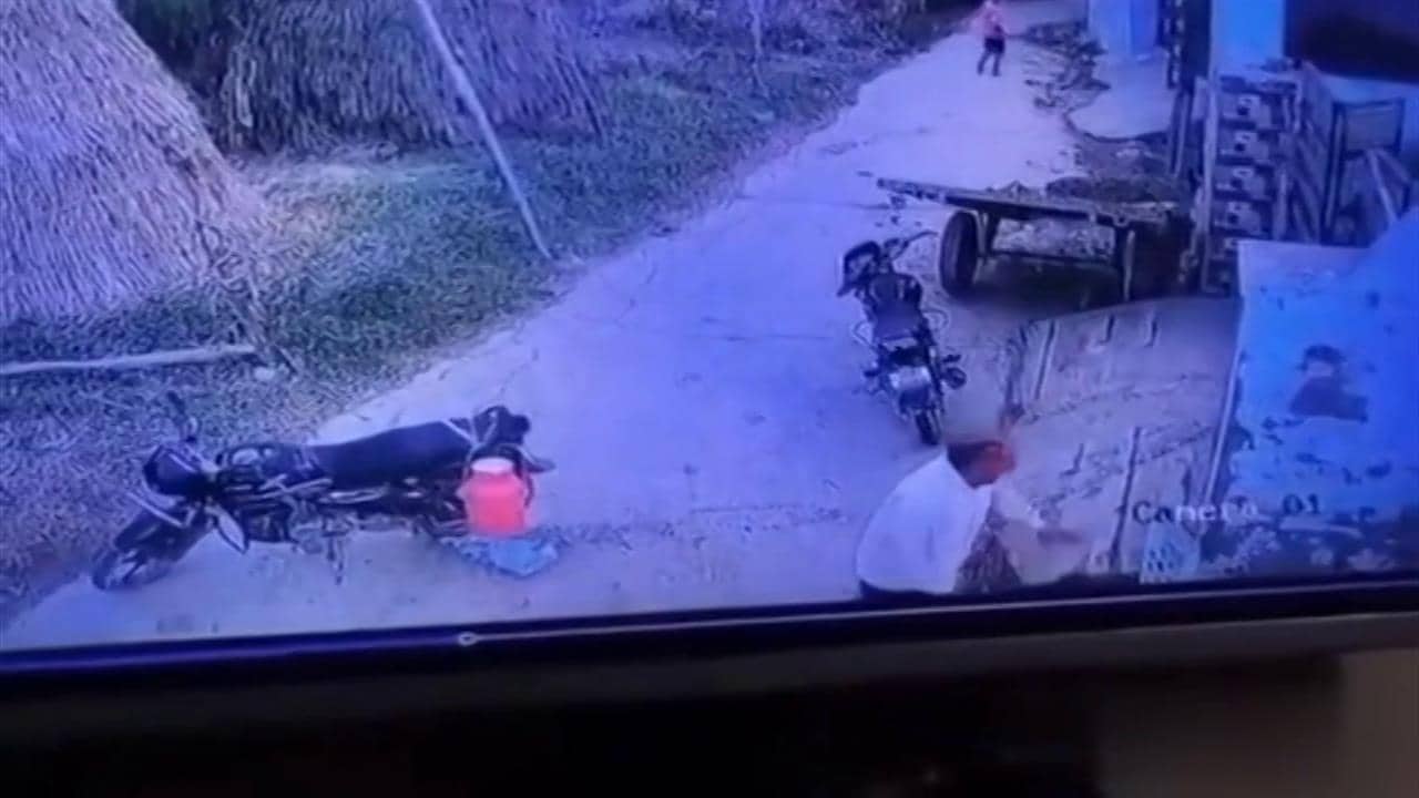 अंबाला ट्रिपल मर्डर का LIVE VIDEO: मिट्टी के चंद रुपयों के लिए पोते ने पूरे परिवार को गोलियों से भूना