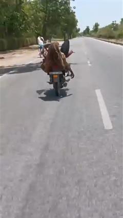 जयपुर की सड़कों पर दिखा 'बाइक वाले बाबा' का खतरनाक स्टंट