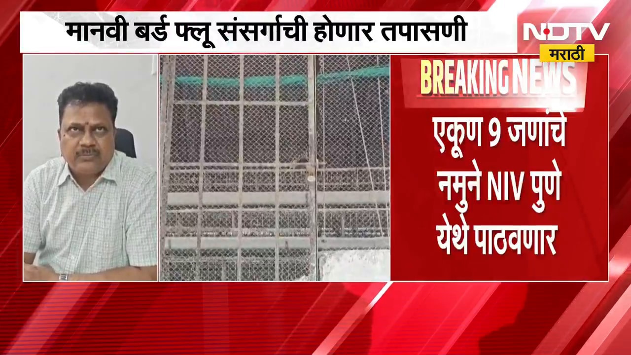 नवापूरमध्ये bird flu च्या पार्श्वभूमीवर आरोग्य विभाग सतर्क; मानवी बर्ड फ्लू संसर्गाची होणार तपासणी