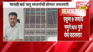 नवापूरमध्ये bird flu च्या पार्श्वभूमीवर आरोग्य विभाग सतर्क; मानवी बर्ड फ्लू संसर्गाची होणार तपासणी