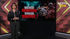 Dutch Cruise जहाजावर Hanta virus चा उद्रेक;प्रसार जगभरात होण्याचा धोका किती? त्यावर उपचार कोणते?