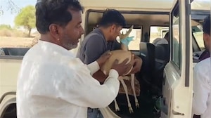 जब घर से विदा हुआ हिरणी का बच्चा तो फूट-फूटकर रो पड़ा पूरा परिवार