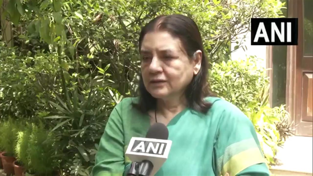 Maneka Gandhi on Stray Dogs: आवारा कुत्तों पर सिस्टम फेल? सुप्रीम कोर्ट ने क्याें दिया आदेश, मेनका गांधी ने बताया पूरा सच
