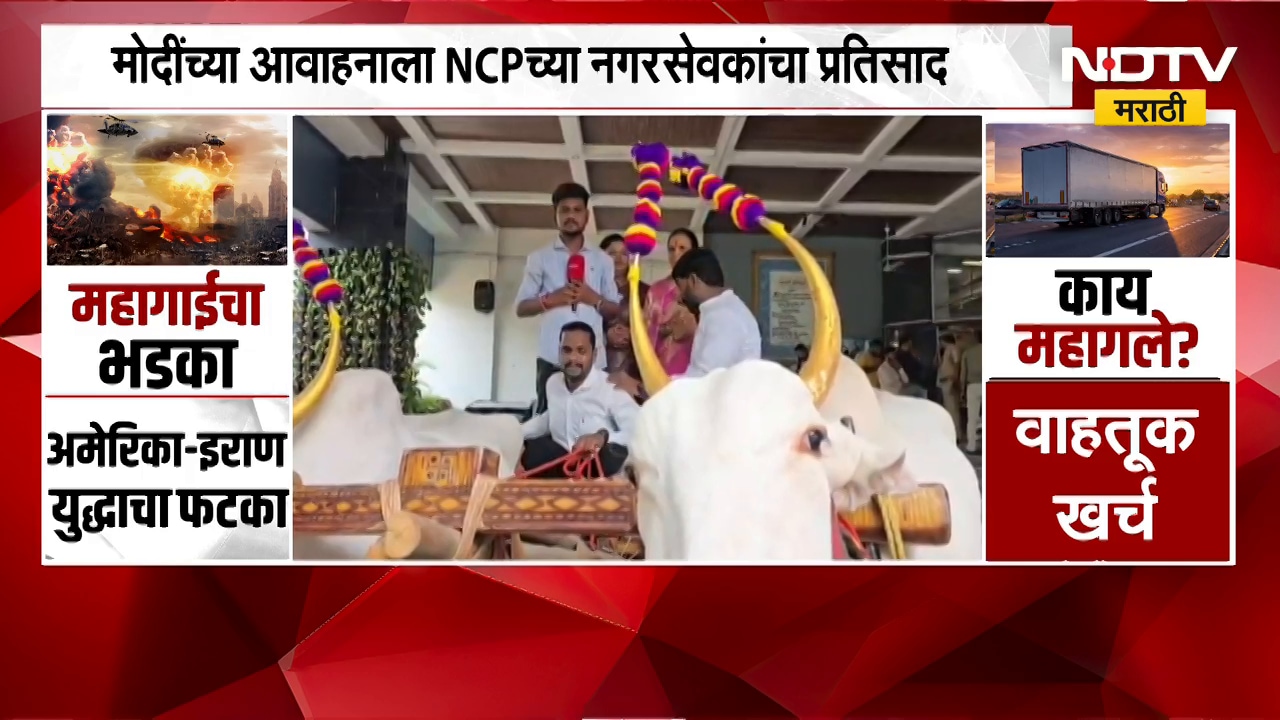Pimpri Chinchwad महापालिकेत राष्ट्रवादीचे तीन नगरसेवक बैलगाडीने महापालिकेत दाखल | NDTV मराठी